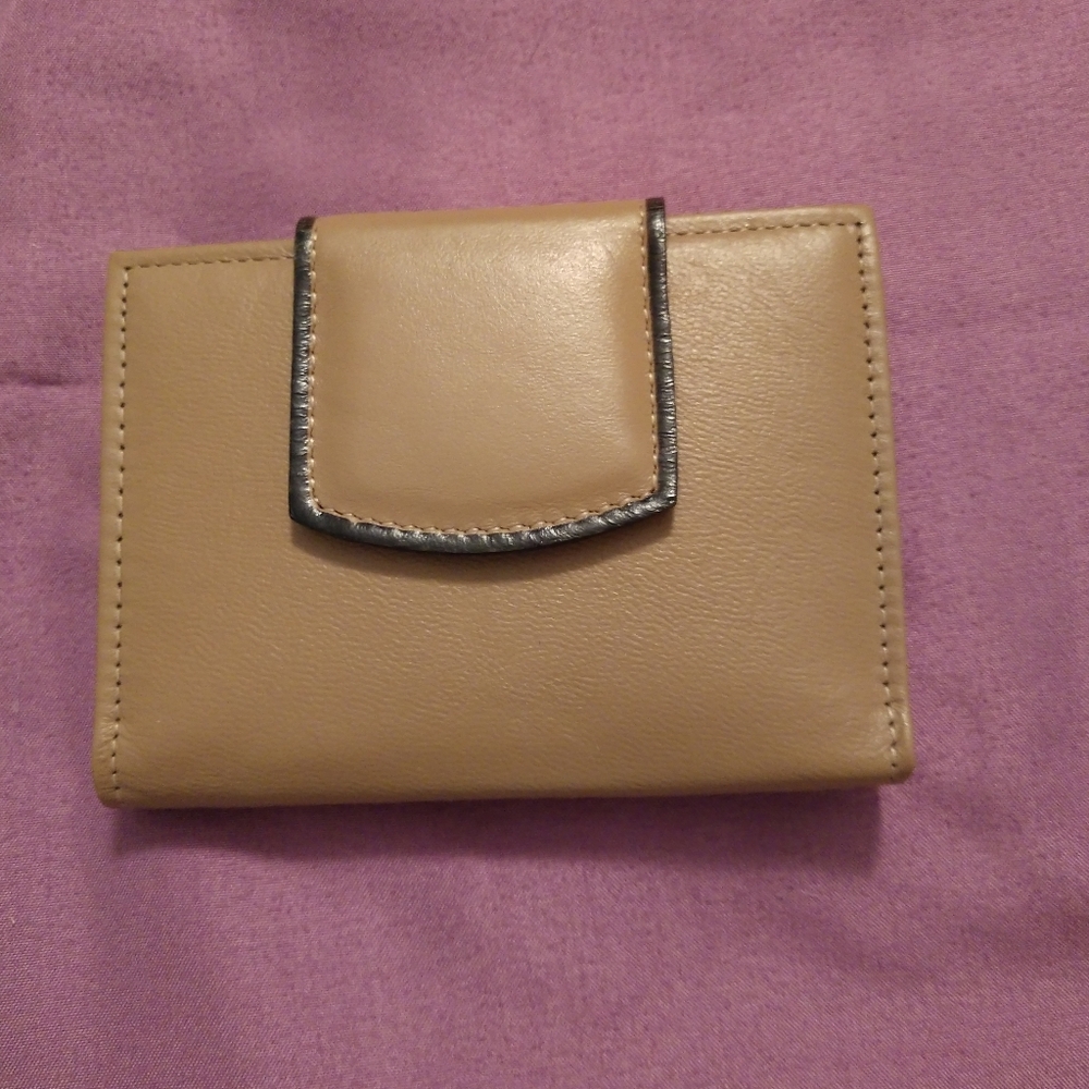 Vintage Princess Gardner Credit Card / Photo Case